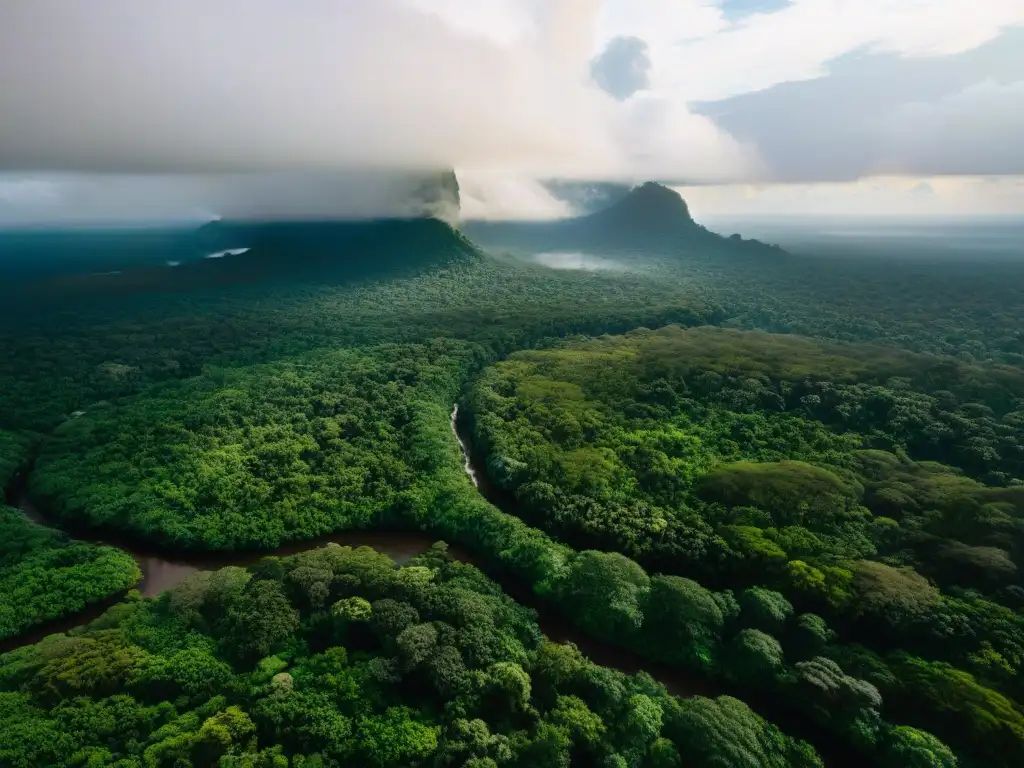 Vista aérea impresionante de la selva amazónica con comunidades amazónicas protectores selva ancestral